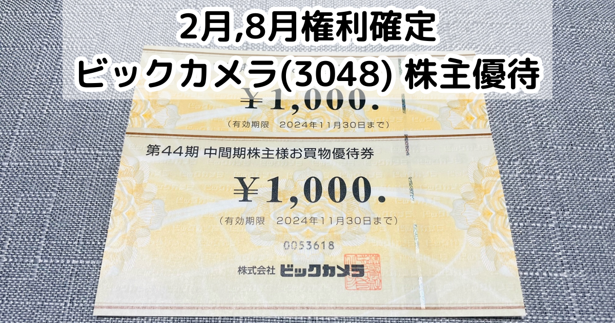 ビックカメラ株主優待券 ビックカメラ株主優待2,000円分 - メルカリ