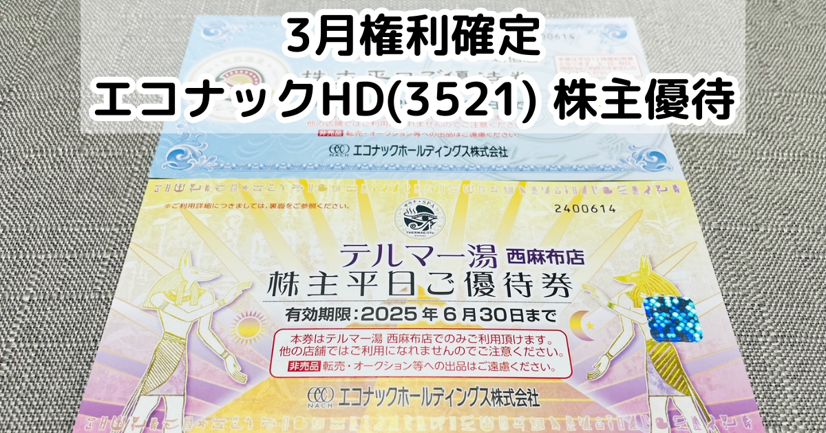 エコナックホールディングス　株主優待　テルマー湯　4枚 テルマー湯の通販 チケット エコナックホールディングス テルマー湯